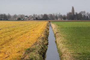 Provincie Zuid-Holland verbiedt glyfosaat