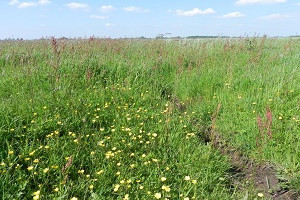 Schriftelijke vragen ‘Agrarisch Natuurbeheer’